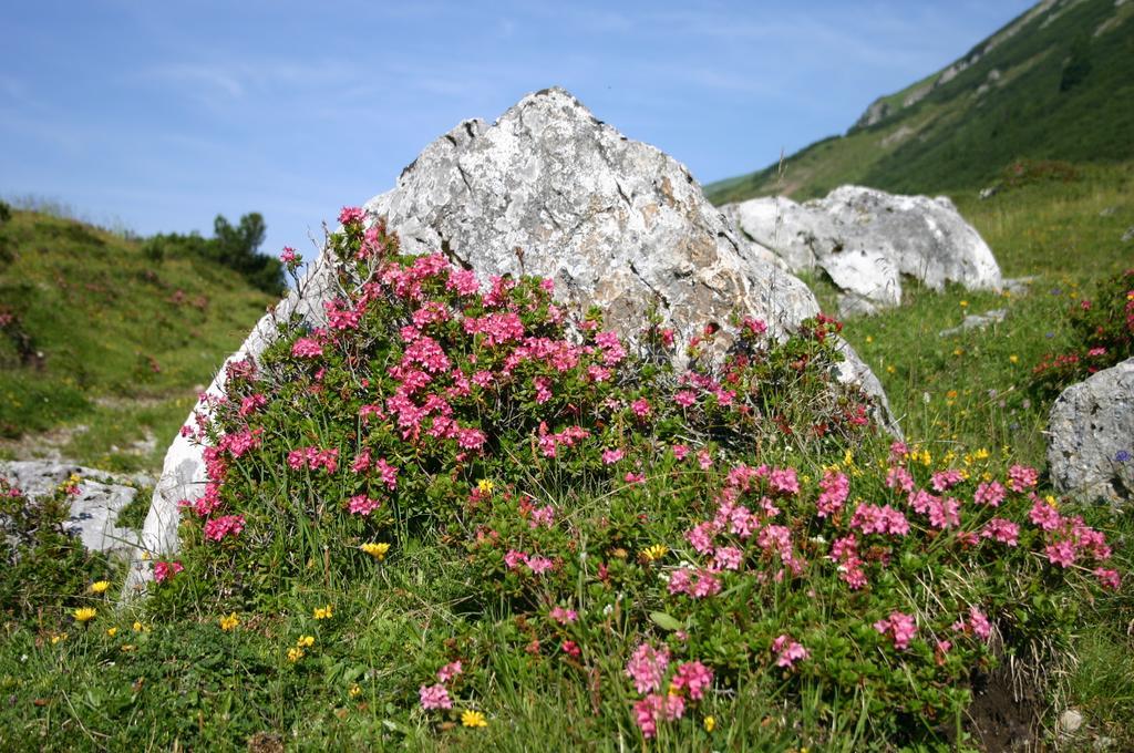 Gasthof "Zur Gemuetlichkeit" Bschlabs Dış mekan fotoğraf